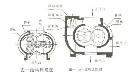 LCW型羅茨泵結(jié)構(gòu)圖